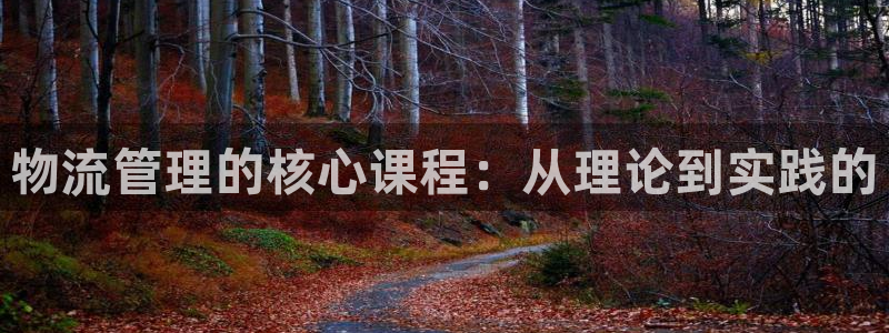 旺财28官网入口pc28：物流管理的