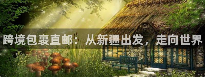 旺财28h5链接：跨境包裹直邮：从新