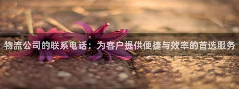 旺财28电子游戏：物流公司的联系电话