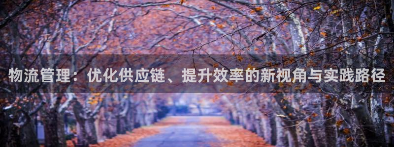 旺财28开奖预测：物流管理：优化供应