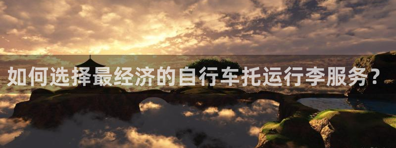 旺财28充值为什么充不了