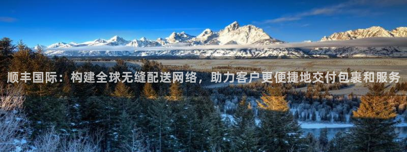 旺财28绿骨头