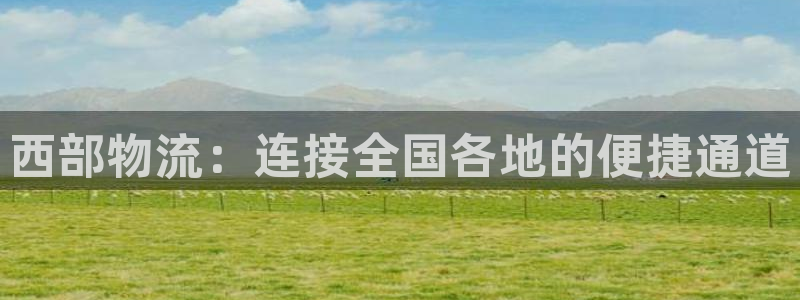 旺财28加拿大能提现吗：西部物流：连