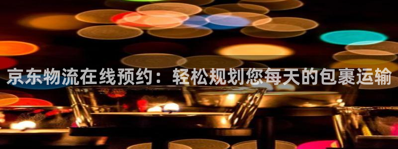 旺财28怎么下载不了：京东物流在线预