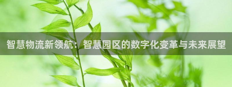旺财28连输10天：智慧物流新领航：