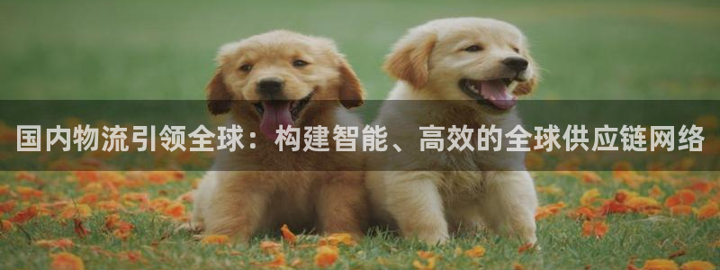 旺财28充值不到账怎么办：国内物流引