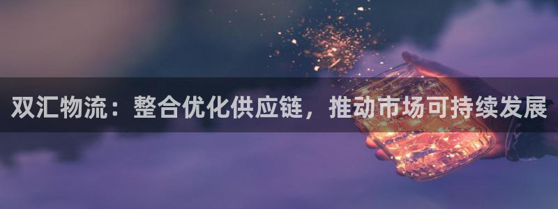 旺财28官网下载APP：双汇物流：整