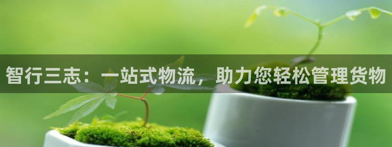 旺财28选28ng官网