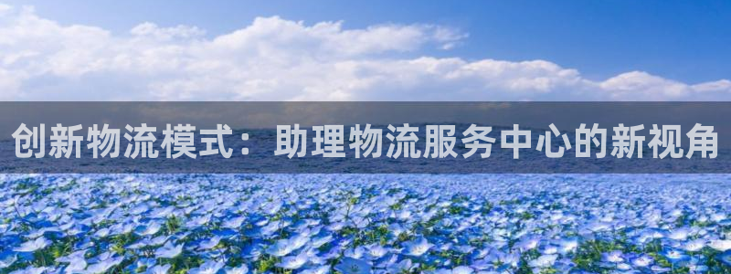 旺财28自行车图片：创新物流模式：助