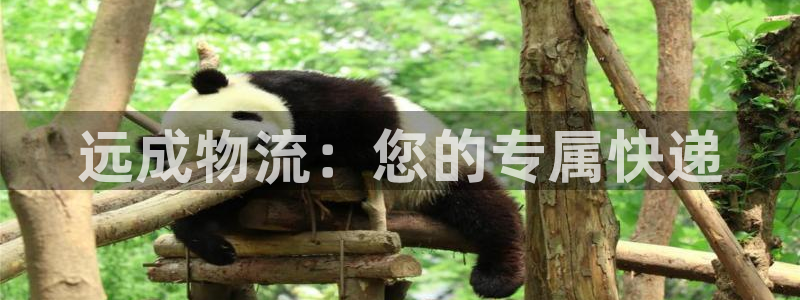 旺财28麻将胡了在线试玩：远成物流：您的专属快递