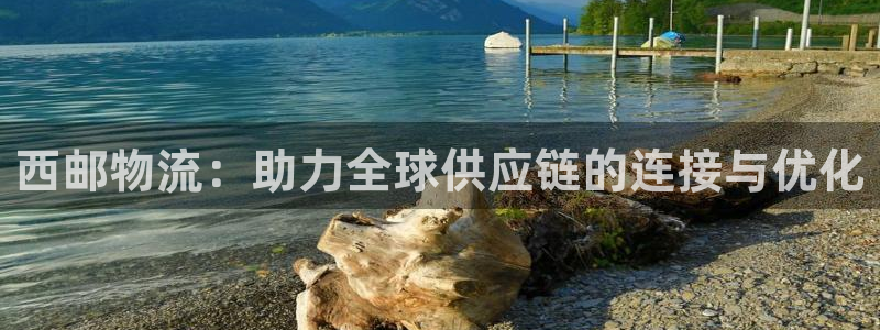 旺财28官方平台：西邮物流：助力全球