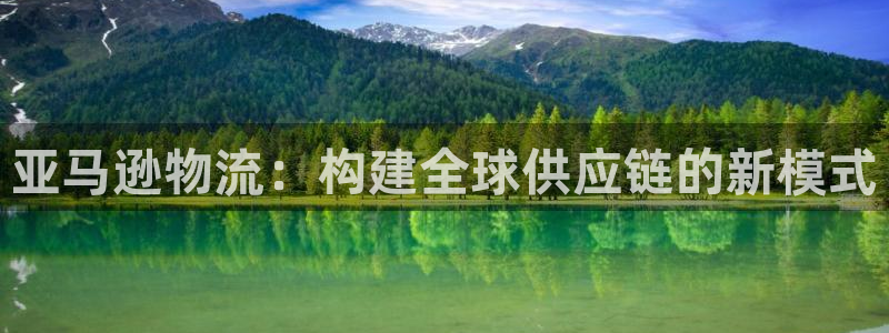 旺财28娱乐官网网页入口：亚马逊物流：构建全球供应链的新模式