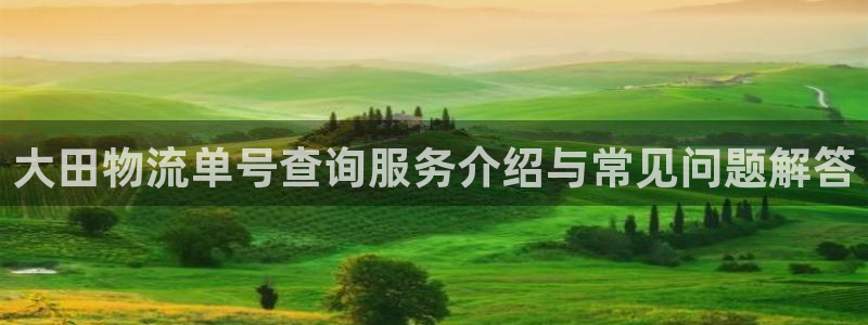 旺财28注册网页版：大田物流单号查询