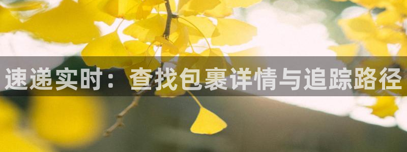 旺财28黑款：速递实时：查找包裹详情与追踪路径