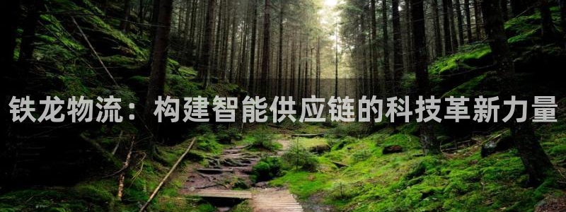 旺财28圈：铁龙物流：构建智能供应链