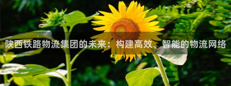 旺财28官网入口官网：陕西铁路物流集