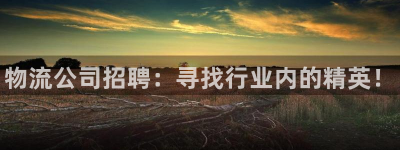 旺财28现在狂杀：物流公司招聘：寻找