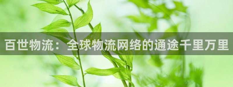 旺财28口