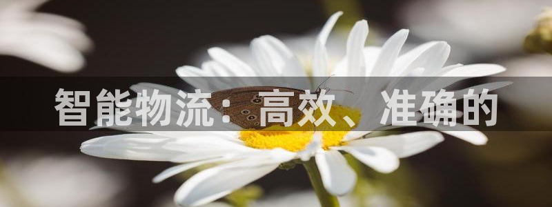 旺财28注册二维码：智能物流：高效、准确的