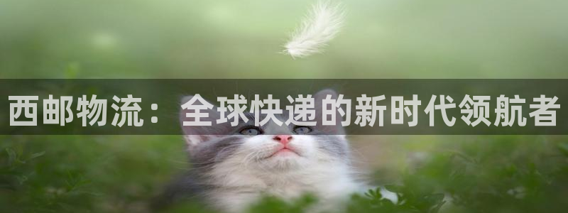 旺财28官方：西邮物流：全球快递的新