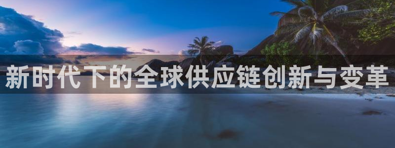 旺财28注册教程：新时代下的全球供应