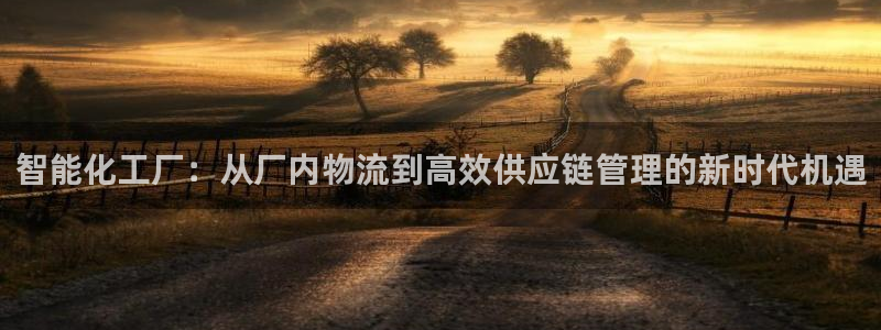 旺财28能赢钱吗：智能化工厂：从厂内