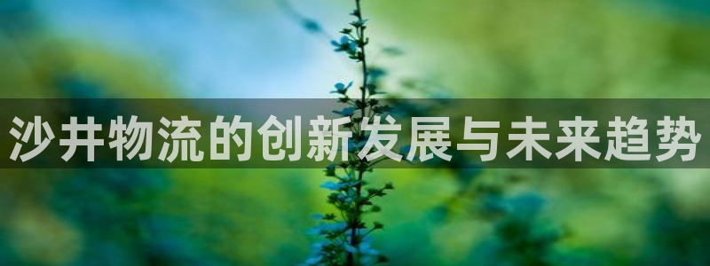 旺财28农业银行是狗卡吗：沙井物流的