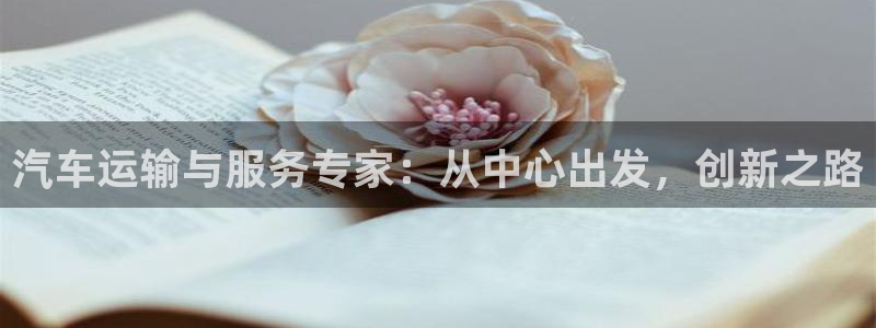 旺财28pg麻将胡了：汽车运输与服务