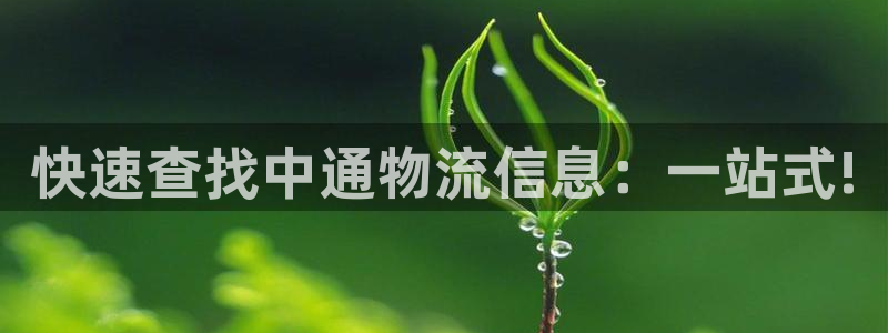 旺财28电子游戏：快速查找中通物流信