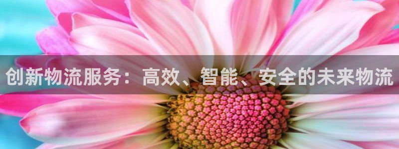 旺财28官网网站