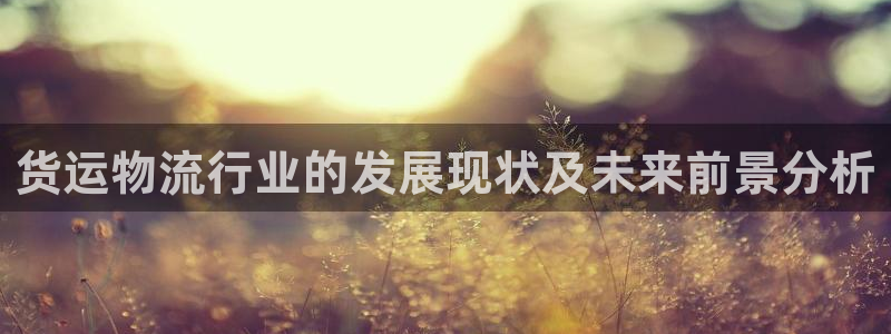 旺财28官网下载多少钱：货运物流行业的发展现状及未来前景分析