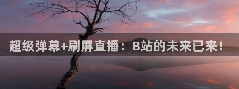 说球帝nba直播免费：超级弹幕+刷屏直播：B站的未来已来！