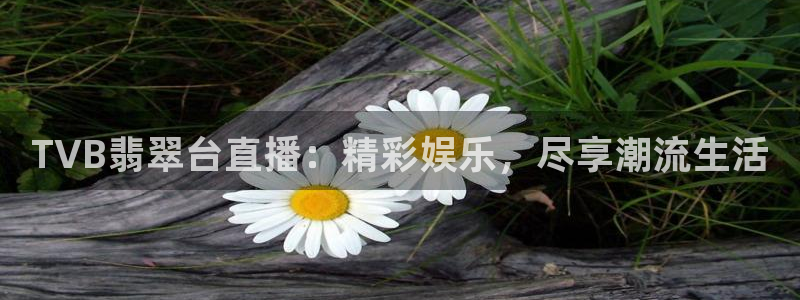 说球帝直播推荐：TVB翡翠台直播：精彩娱乐，尽享潮流生活