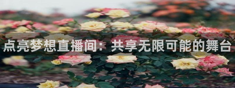 说球帝app官网下载：点亮梦想直播间：共享无限可能的舞台