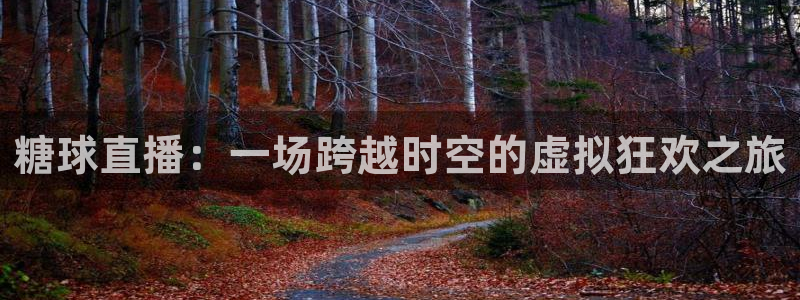 说球帝直播网：糖球直播：一场跨越时空的虚拟狂欢之旅