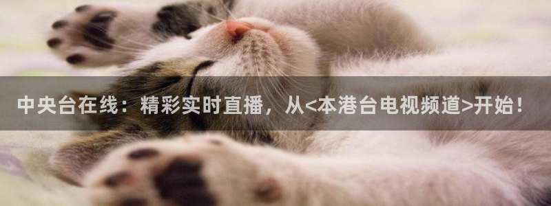 说球帝nba直播在线观看免费说球帝：中央台在线：精彩实时直播，从<本港台电视频道>开始！