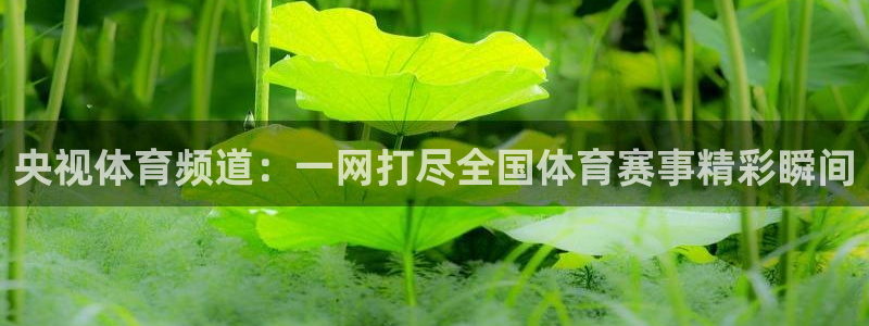 nba在线直播观看直播说球帝：央视体育频道：一网打尽全国体育赛事精彩瞬间