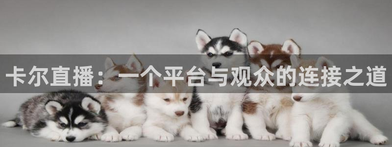 nba直播免费高清无插件直播说球帝：卡尔直播：一个平台与观众的连接之道