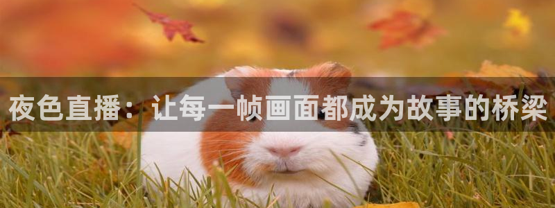 说球帝体育_足球_篮球直播：夜色直播：让每一帧画面都成为故事的桥梁